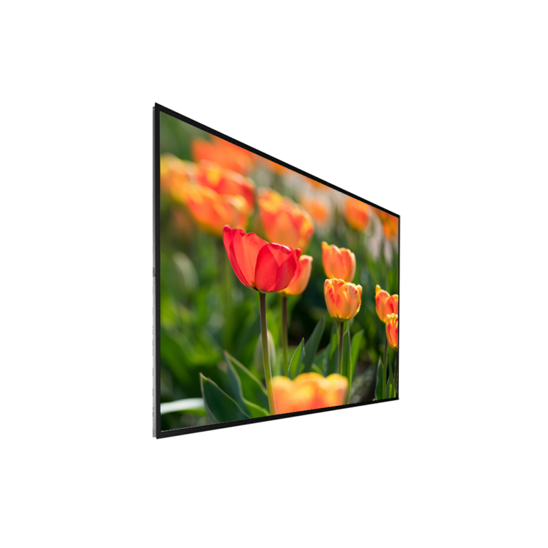 Pixels Guyana Inc – Live Cameras and Billboard Advertising